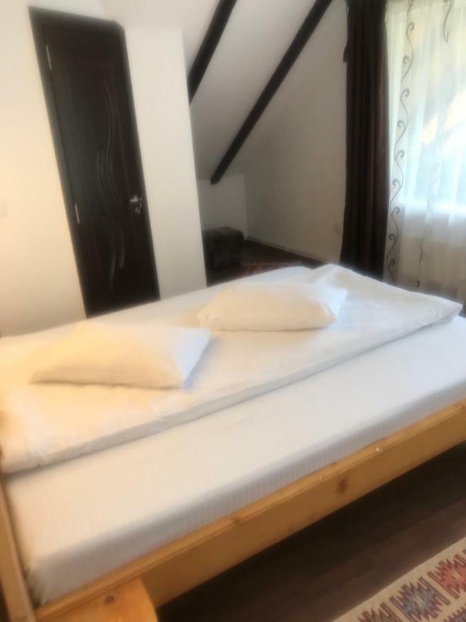Casa Csiki Villa Risnov Bagian luar foto